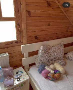 Wooden House